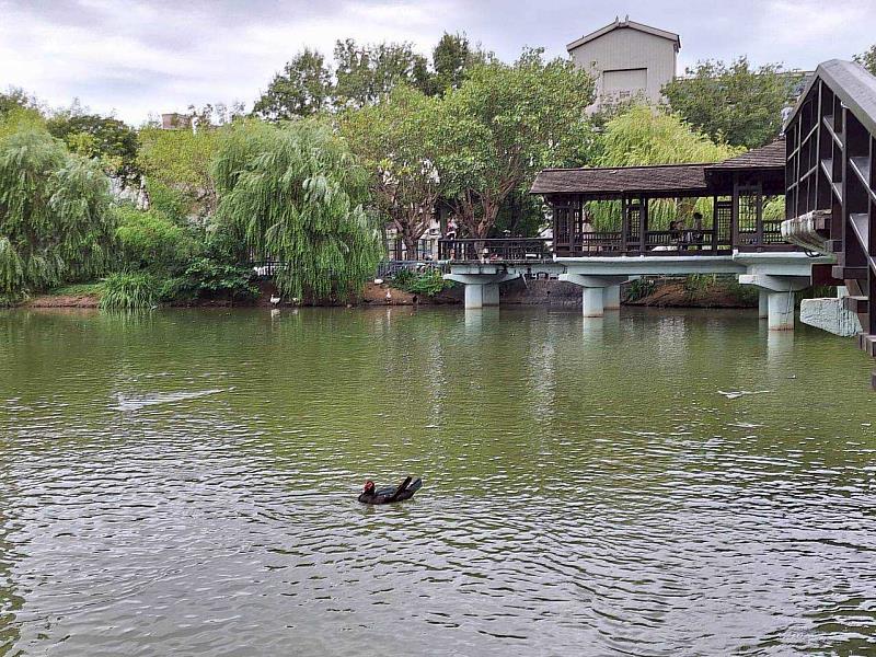 新竹公園。