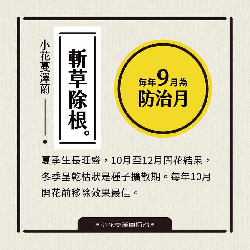 小花蔓澤蘭防治月