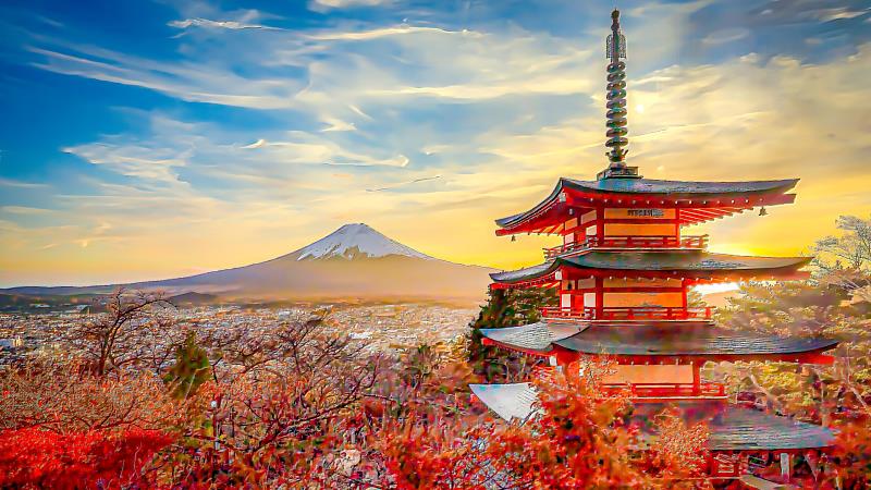 三大旅遊週邊服務加碼　保險、交通、接送一指完成