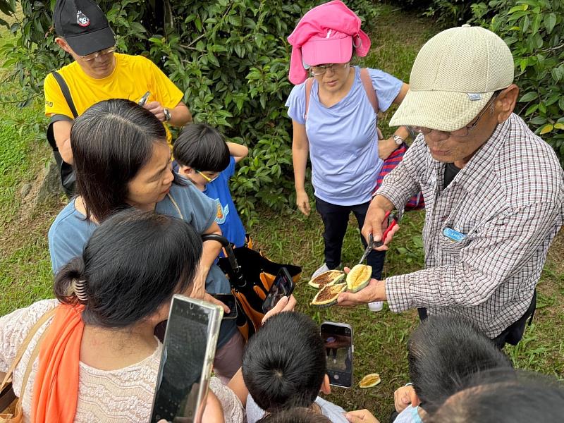 .南投縣集集鎮形象商圈觀光發展協會帶領民眾參觀集集愛玉園並體驗手洗愛玉DIY