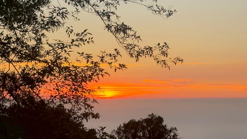 大雪山國家森林遊樂區夕陽景色（照片：林業及自然保育署臺中分署）