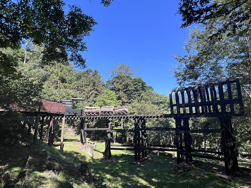 八仙山國家森林遊樂區景色。(照片:林業及自然保育署臺中分署)