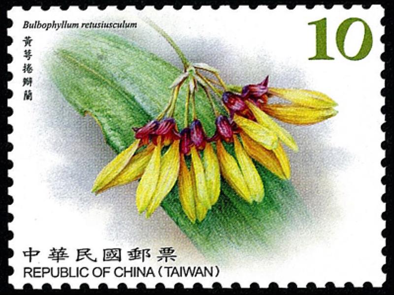 臺灣野生蘭花郵票(續3)/中華郵政提供