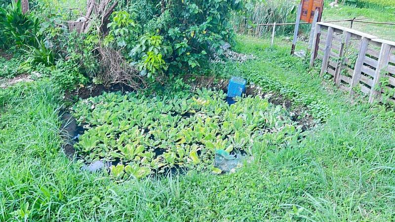 廢（污）水回收再利用沉澱池全貌