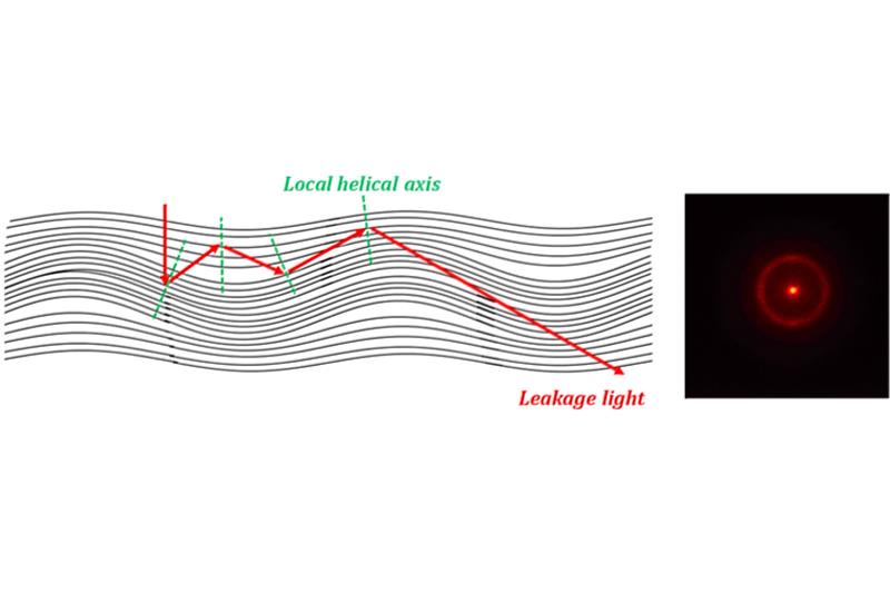(左)由Helfrich deformation引致的波導效應示意圖;(右)在波導效應作用下,入射液晶層之雷射光於觀察面所形成的圓環。(鄭恪亭提供)