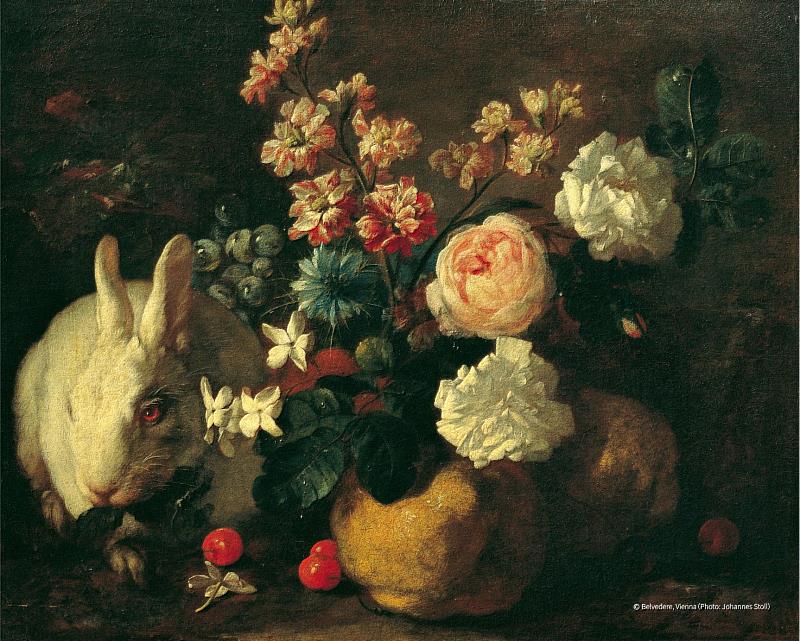 法蘭茲・維爾納・塔姆〈花卉、兔子與果實靜物〉。Belvedere, Vienna（Photo Johannes Stoll）