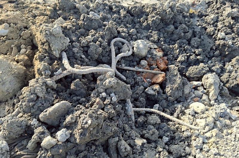 非法填土暗藏廢棄物　業者圖利、地主恐背負鉅額清理費-1
