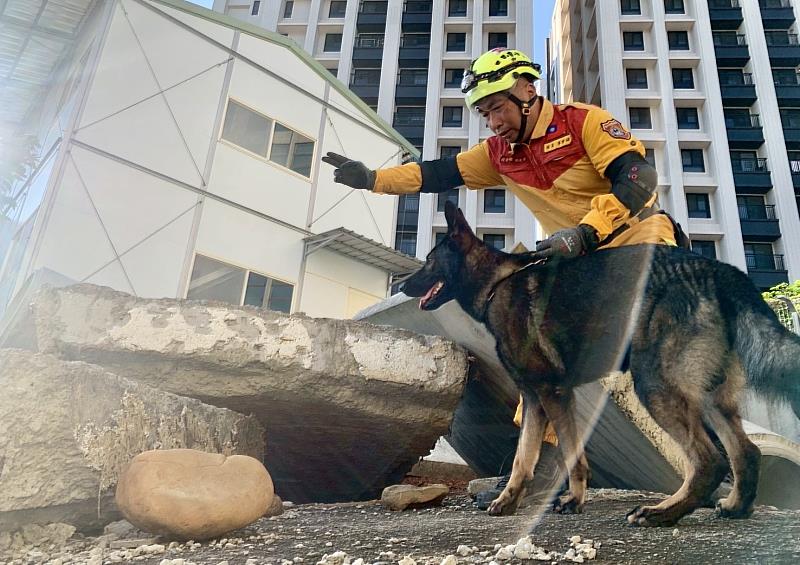 新竹市辦理國際IRO檢測，各單位領犬員級搜救犬進行各項測驗。