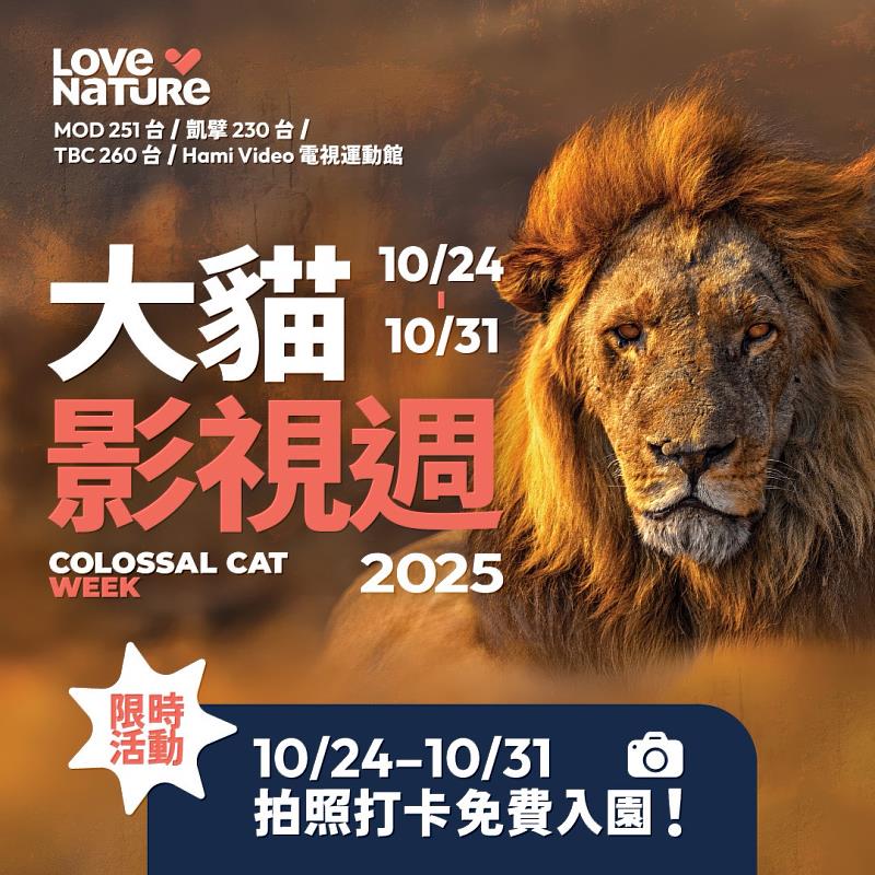 動物園與Love Nature跨界合作《大貓影視週》，114年10月24日至10月31日每日限量前100名完成指定任務的民眾可享免費入園優惠