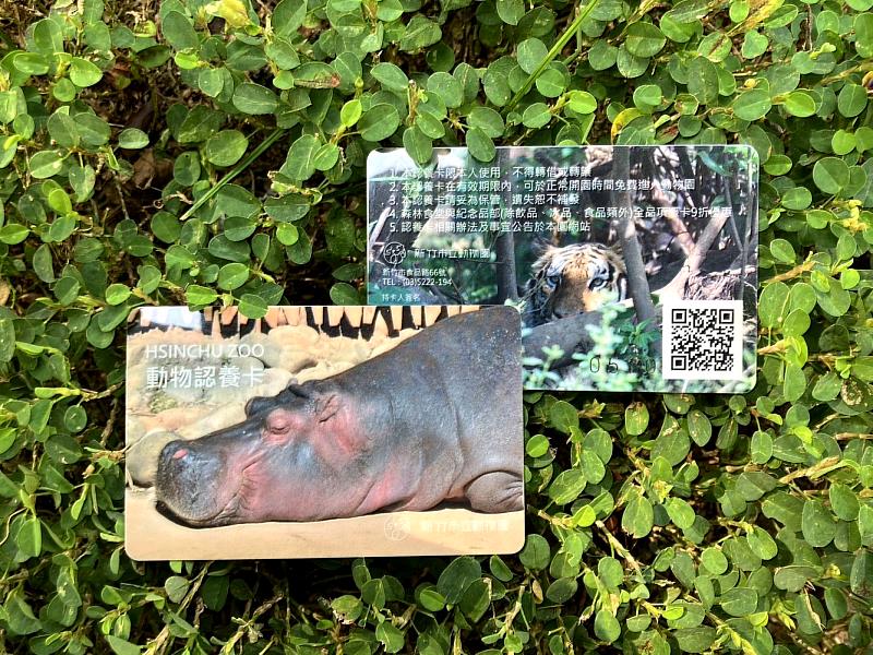 活動期間，民眾可於園區中探索並找尋《大貓影視週》限定布置，掃描現場QR Code進入Hami Video收看Love Nature頻道，並完成表單填寫，即有機會抽中Love Nature品牌限定好禮及新竹市立動物園動物認養卡