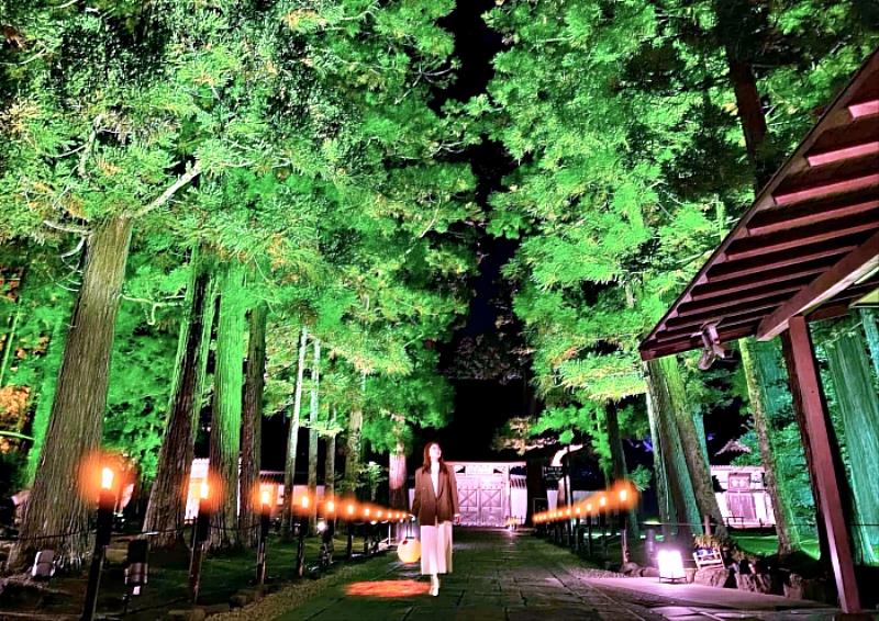 這場夜間參拜,不僅僅是「觀看」,更是「參與、學習、回憶」的旅程。它是一場「光與學」的融合,燈光將國寶和重要文化遺產緊密聯繫起來,透過光影的變幻和色彩的交融,將其雕塑、建築和歷史價值的美感,以最直觀、最震撼的方式展現出來。