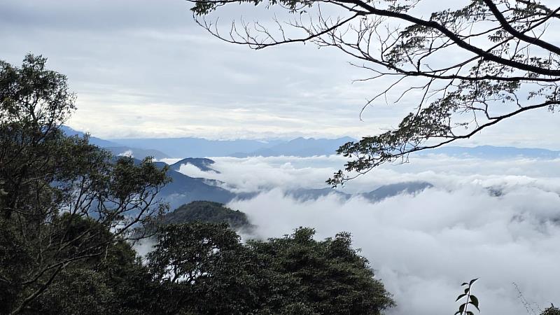 大雪山雲海