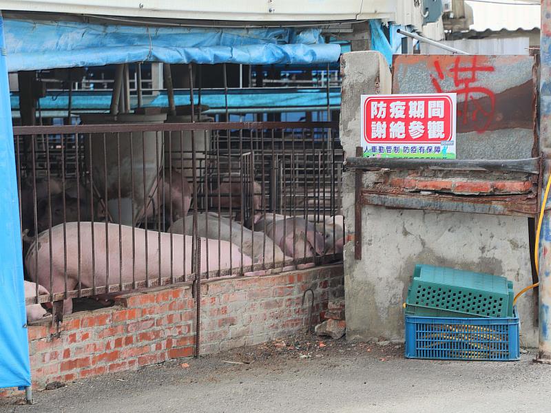 全力防堵非洲豬瘟 翁章梁親赴養豬場督導防疫工作