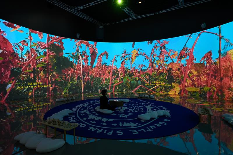 「天空寫下的故事」展覽現場,國立臺灣美術館提供,攝影:ANPIS FOTO 王世邦