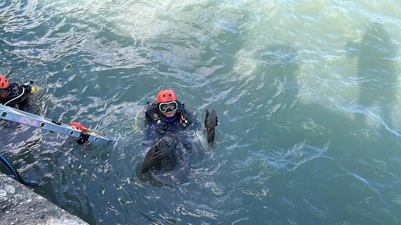 臺東環保局淨海行動迎接國際衝浪賽 清出388公斤海廢物