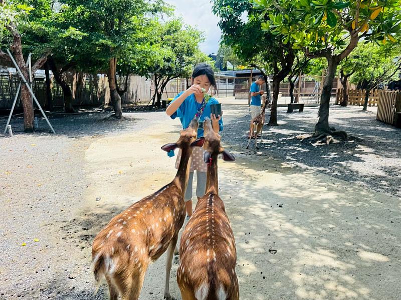 2026寒假,讓「福爾摩沙環島活動隊」創造孩子的冒險旅程!