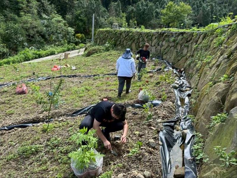 This year, the county government established the Dahudi Firefly Viewing Demonstration Area. Located near abundant water resources, it provides ideal conditions for aquatic fireflies restoration.
