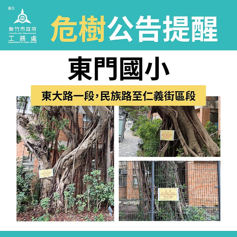圖1 竹市府於多處設立「危樹公告牌」,提醒民眾避開高風險區域。