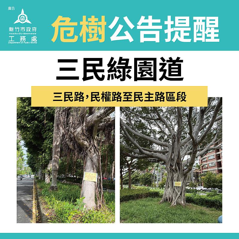 圖2 竹市府於多處設立「危樹公告牌」，提醒民眾避開高風險區域。