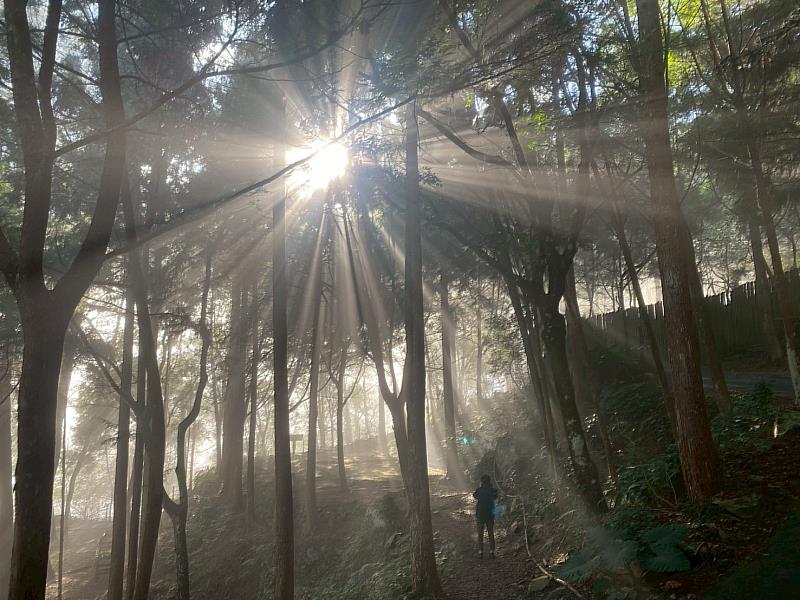 八仙山國家森林遊樂區景色（照片：林業及自然保育署臺中分署）