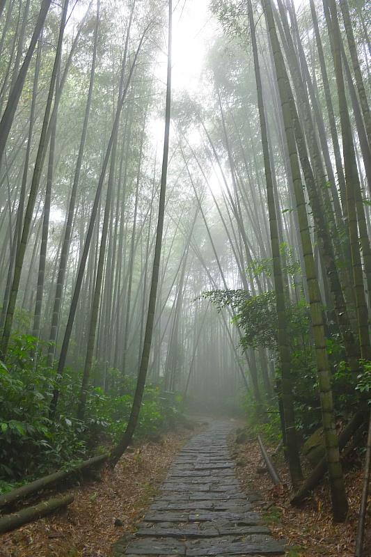 迷糊步道