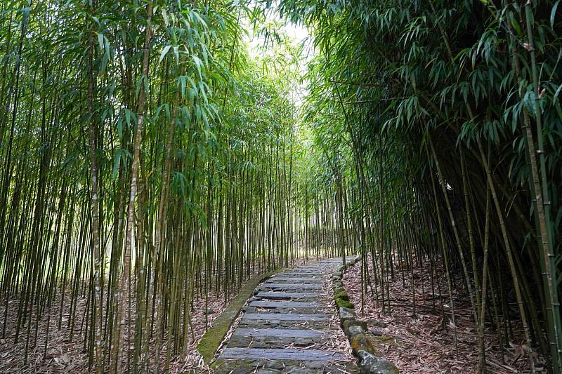 頂湖步道