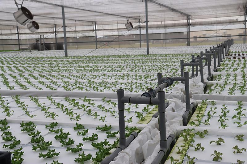 水養液控制系統精準施肥並循環再利用營養液