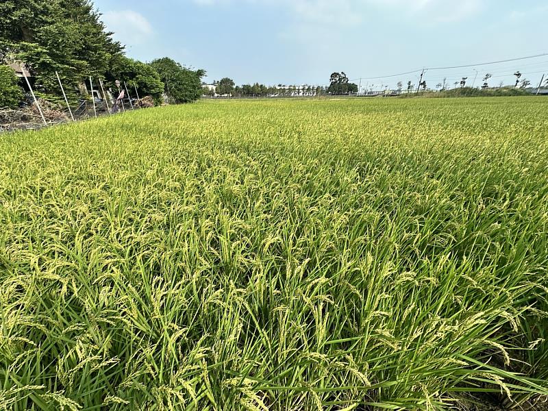 目前調查屬於零星發生須密切關注