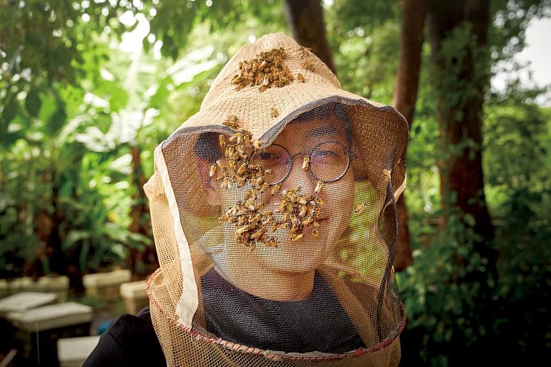 傳承四代的養蜂技術,「阿彬蜂蜜」以職人精神堅持純淨品質