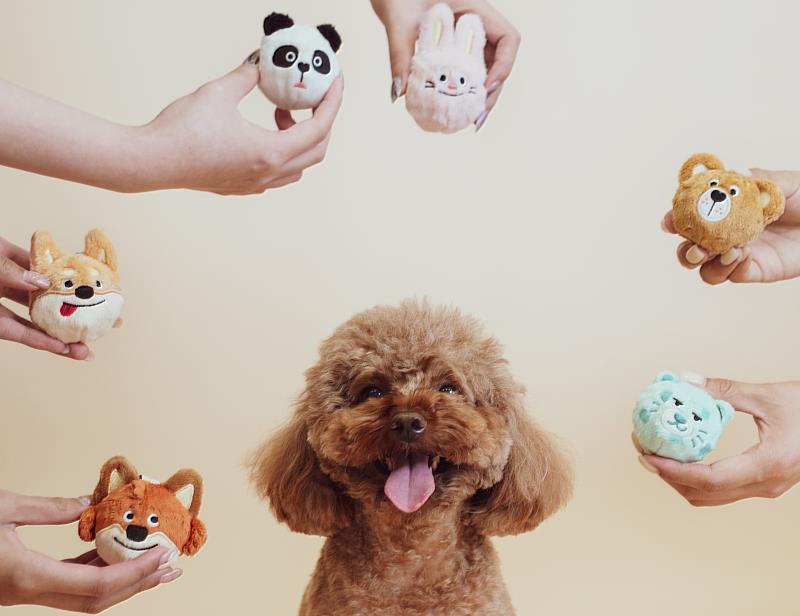 雙11尬普發萬元寵毛孩 羊奶粉補給+啾啾球盲盒玩樂一次到位