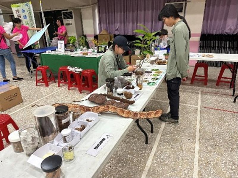 嘉有好市集11月22日登場，親子攀樹體驗17日開放報名-5