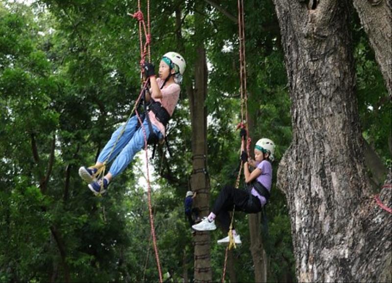 嘉有好市集11/22登場 親子攀樹體驗11/17開放報名