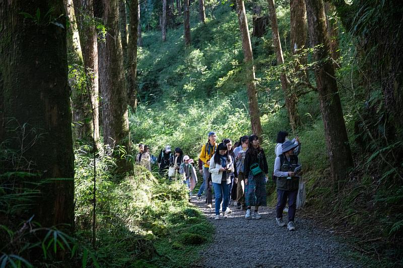 林業及自然保育署嘉義分署在阿里山國家森林遊樂區舉辦「2025阿里山森旅季」冬季限定活動—蕨類微觀之旅