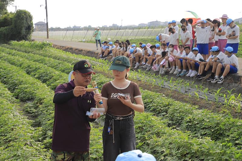 農場主陳明睿(圖左)向南隆國中學童講解甘藷生態。