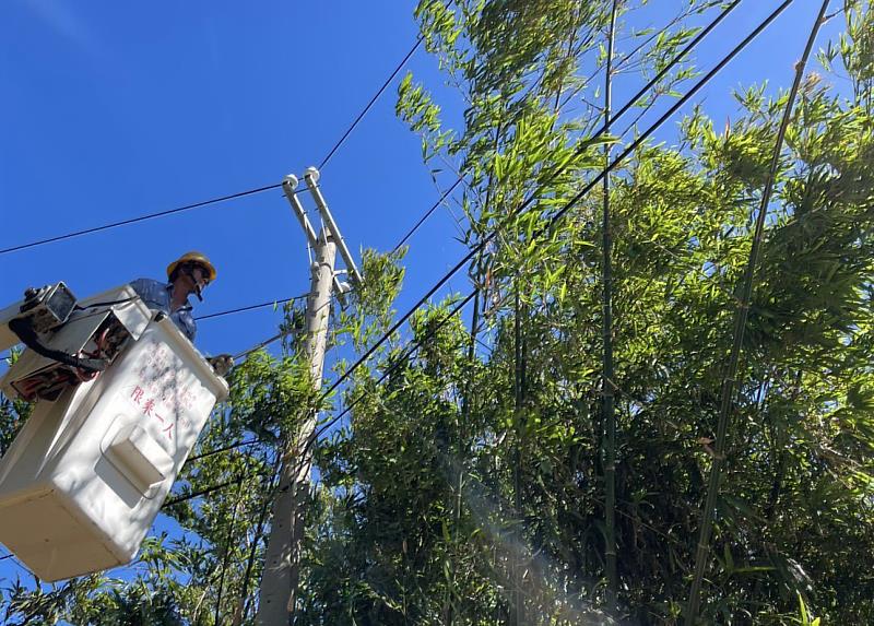 台電5日即啟動防颱整備作業,全面加強鄰近供電線路樹竹修剪。