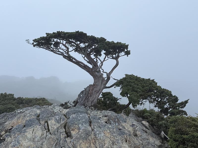 臺東分署轄管森林育樂場域、林道自10日下午17時起封閉