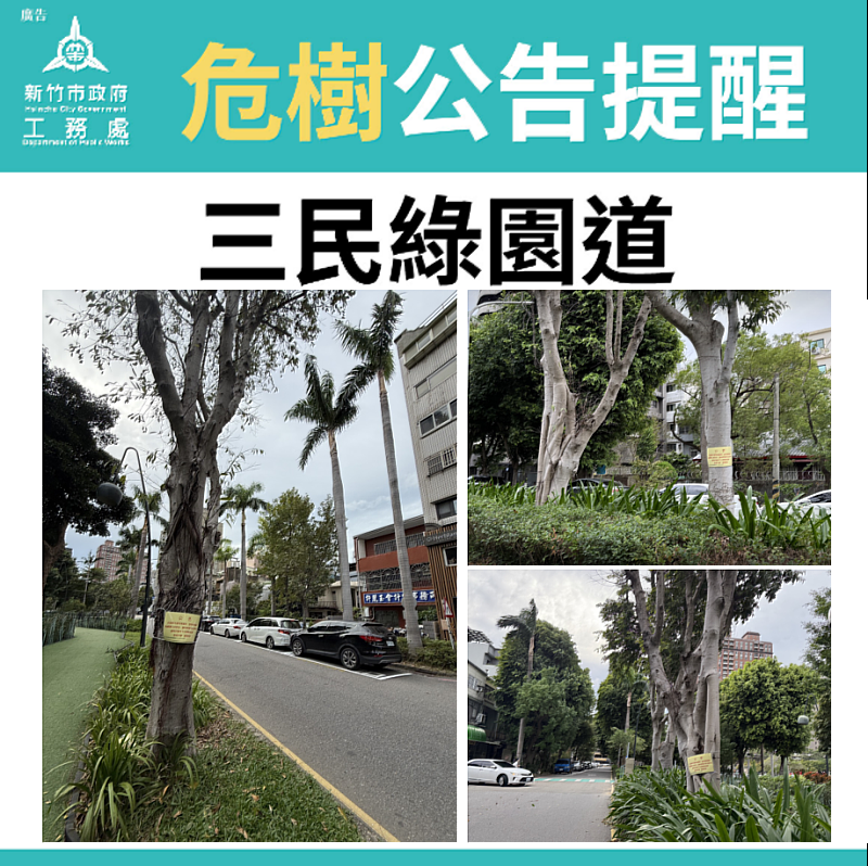 新竹市政府危樹公告提醒EDM。