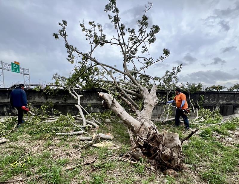 新竹市政府面對因強風造成災情，立即啟動應變，盡速恢復市容及維護公共安全。