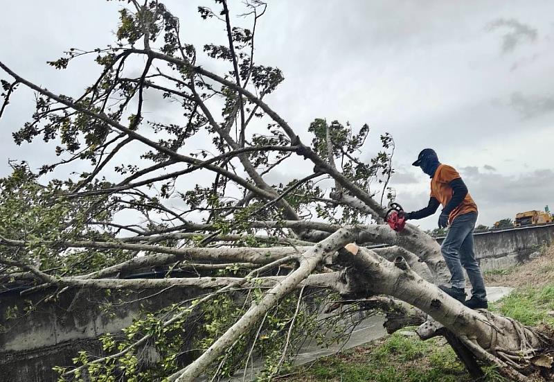 新竹市政府面對因強風造成災情，立即啟動應變，盡速恢復市容及維護公共安全。