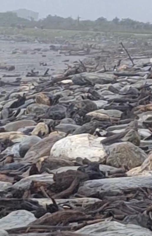 鳳凰颱風來襲花蓮啟動防災整備 撿拾公告同步終止