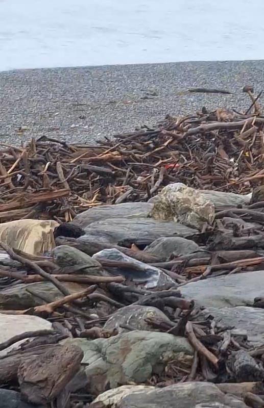 鳳凰颱風來襲花蓮啟動防災整備 漂流木撿拾公告同步終止