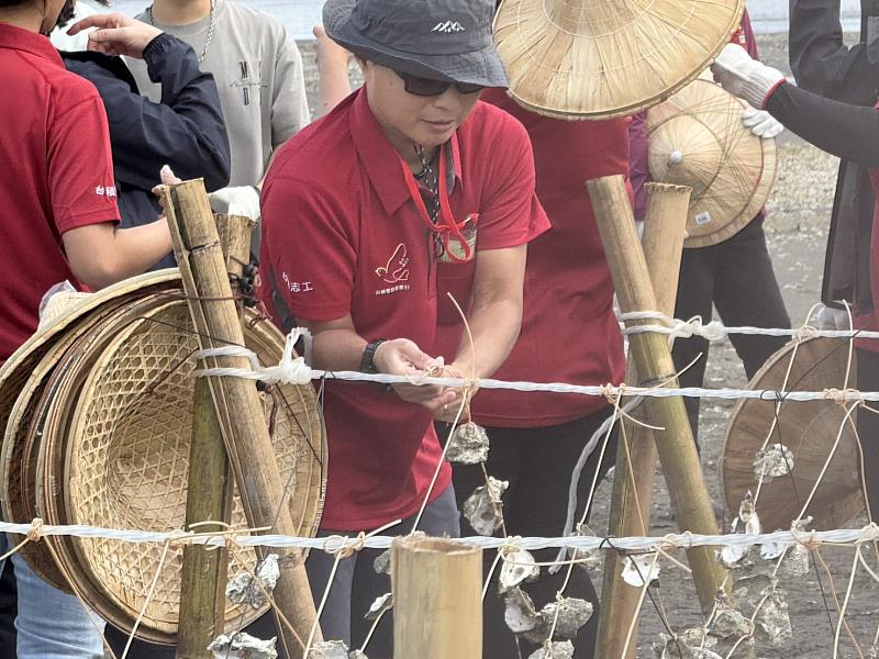 台積電同仁正在建造生物棲地。