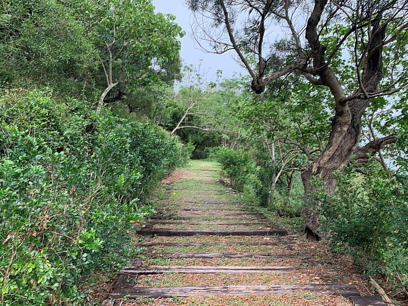 大武觀海步道享受熾熱陽光與徐徐海風。