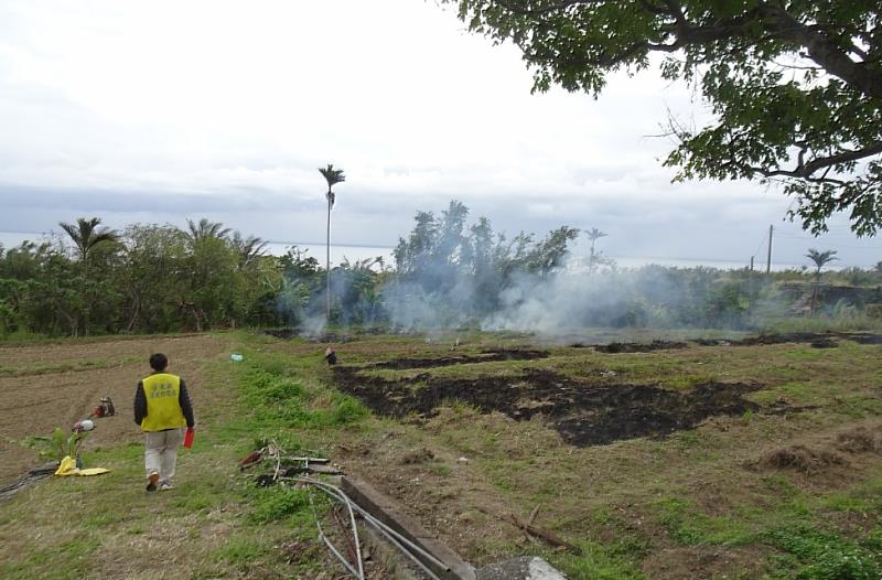 二期稻作收割期將至 臺東縣環保局呼籲勿露天燃燒稻草