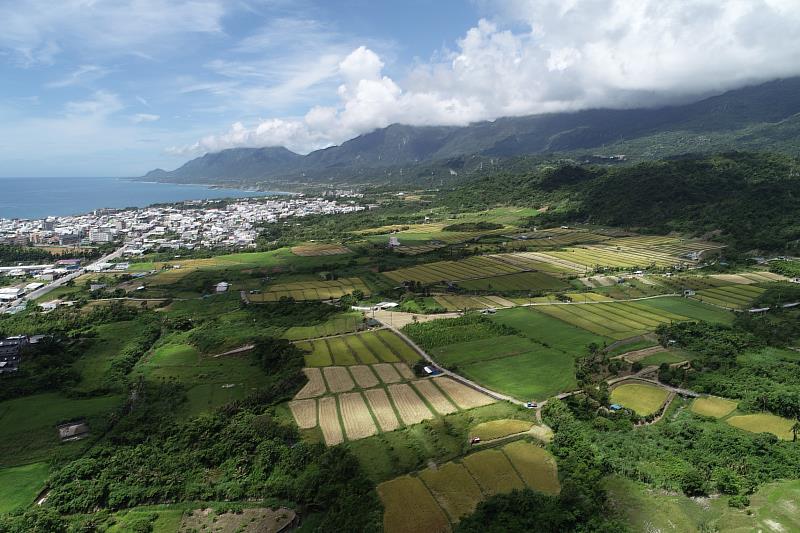 二期稻作收割期將至 臺東縣環保局呼籲勿露天燃燒稻草