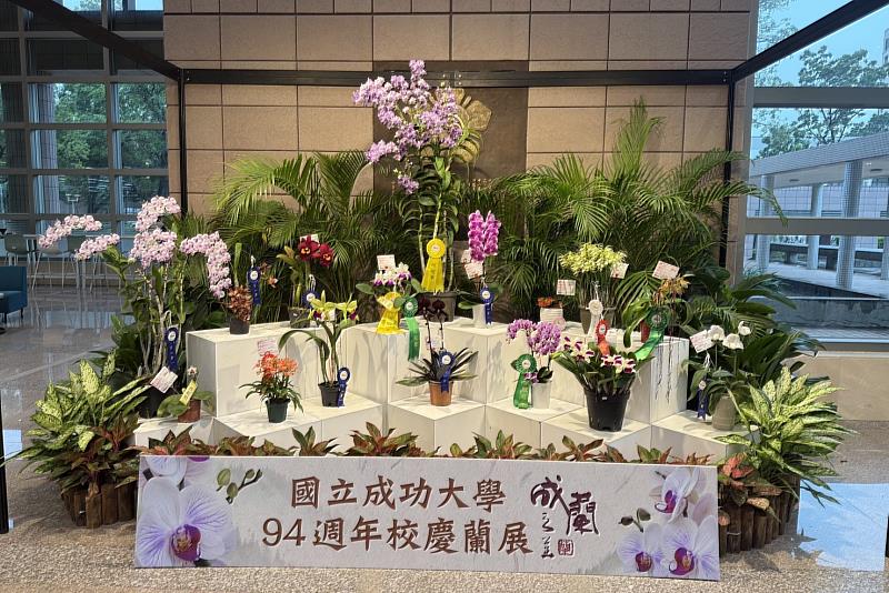 適逢國立成功大學94週年校慶，第14屆秋季蘭展即日起到下週二11月18日在成功校區總圖書館1樓展出。