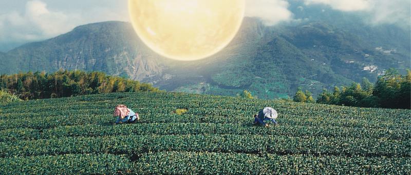 「太陽之都X嘉義人」2026台灣燈會形象影片展現城市魅力