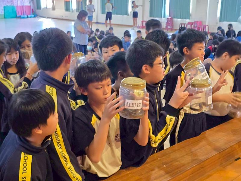 嘉義縣政府入校推廣野生動物及外來入侵種教育