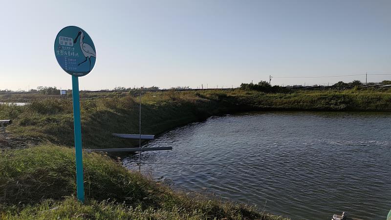透過推廣友善棲地的生態標章，讓保育黑面琵鷺可與養殖產業共存共榮。