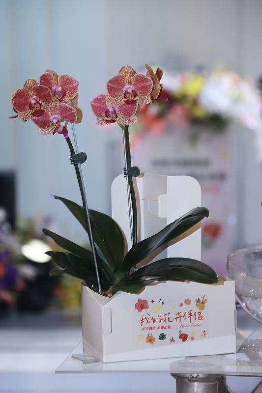 用花成習慣，生活更幸福。